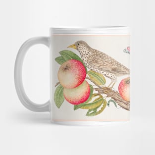 Brown Bird on Apple Branch with Caterpillar (18th Century) Mug